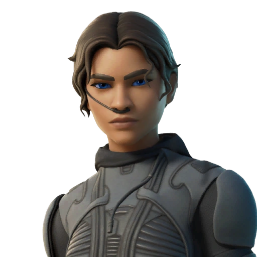 CHANI GUARANTEED SKIN + MAIL ACCESS