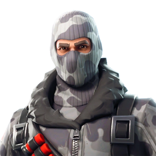 HAVOC GUARANTEED SKIN + MAIL ACCESS